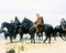 This is an image of 271719 Planet of the Apes Photograph & Poster