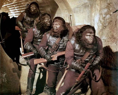 This is an image of 271750 Planet of the Apes Photograph & Poster