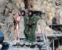 This is an image of 271755 Planet of the Apes Photograph & Poster