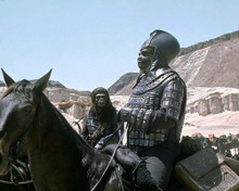 This is an image of 271760 Planet of the Apes Photograph & Poster