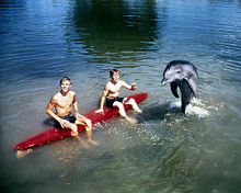This is an image of 275750 Flipper Photograph & Poster