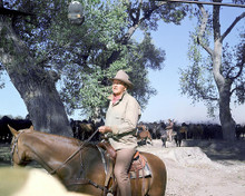 This is an image of 276073 John Wayne Photograph & Poster