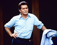 This is an image of 277989 Martin Sheen Photograph & Poster