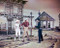 This is an image of 278133 Seven Brides for Seven Brothers Photograph & Poster
