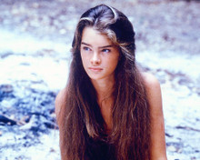 This is an image of 278256 Brooke Shields Photograph & Poster