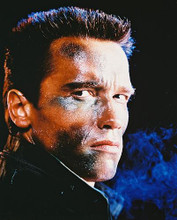 This is an image of 210306 Arnold Schwarzenegger Photograph & Poster