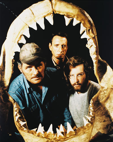 This is an image of 212095 Jaws Photograph & Poster