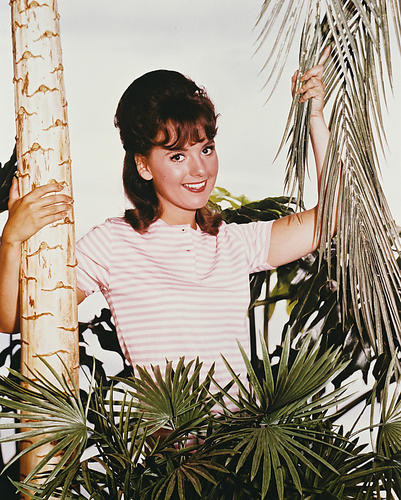 This is an image of 212750 Gilligan's Island Photograph & Poster