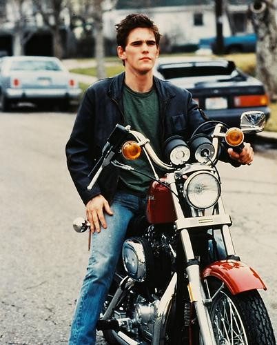 This is an image of 213851 Matt Dillon Photograph & Poster