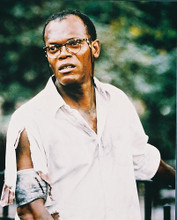 This is an image of 216199 Samuel L.Jackson Photograph & Poster