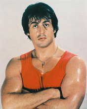 This is an image of 216286 Sylvester Stallone Photograph & Poster