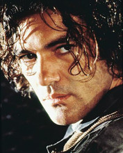 This is an image of 216422 Antonio Banderas Photograph & Poster