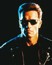 This is an image of 216649 Arnold Schwarzenegger Photograph & Poster