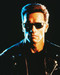 This is an image of 216649 Arnold Schwarzenegger Photograph & Poster