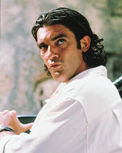 This is an image of 216695 Antonio Banderas Photograph & Poster