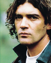 This is an image of 216798 Antonio Banderas Photograph & Poster