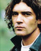 This is an image of 216798 Antonio Banderas Photograph & Poster