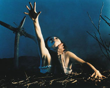 This is an image of 212450 The Evil Dead Photograph & Poster