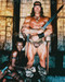 This is an image of 219683 Arnold Schwarzenegger Photograph & Poster
