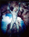 This is an image of 220513 The Creature from the Black Lagoon Photograph & Poster