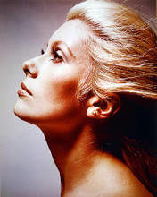 This is an image of 221059 Catherine Deneuve Photograph & Poster