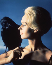 This is an image of 221114 Tippi Hedren Photograph & Poster