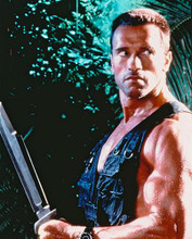 This is an image of 222287 Arnold Schwarzenegger Photograph & Poster