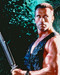 This is an image of 222287 Arnold Schwarzenegger Photograph & Poster