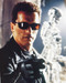 This is an image of 222742 Arnold Schwarzenegger Photograph & Poster