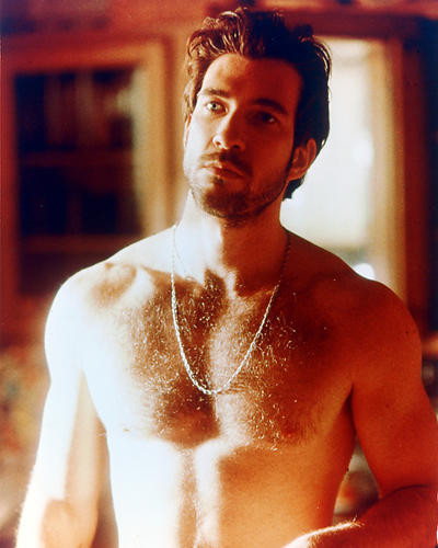 This is an image of 224093 Dylan McDermott Photograph & Poster