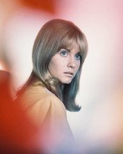 This is an image of 224103 Olivia Newton-John Photograph & Poster