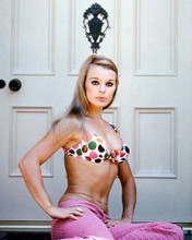 This is an image of 224579 Elke Sommer Photograph & Poster