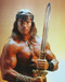This is an image of 225881 Arnold Schwarzenegger Photograph & Poster