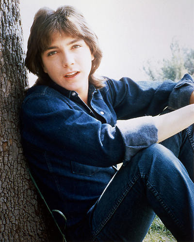 This is an image of 226134 David Cassidy Photograph & Poster