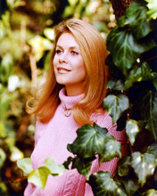 This is an image of 226273 Elizabeth Montgomery Photograph & Poster