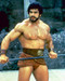 This is an image of 226597 Lou Ferrigno Photograph & Poster