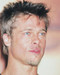 This is an image of 235135 Brad Pitt Photograph & Poster