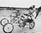 This is an image of 167977 Easy Rider Photograph & Poster