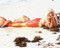 This is an image of 221626 Daryl Hannah Photograph & Poster
