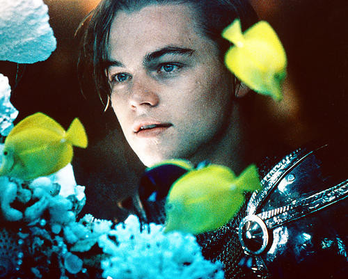 This is an image of 223112 Leonardo Dicaprio Photograph & Poster
