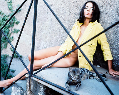 This is an image of 227558 Barbara Steele Photograph & Poster