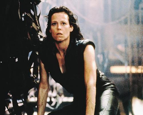 This is an image of 228762 Sigourney Weaver Photograph & Poster