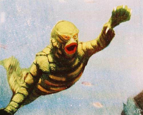 This is an image of 230030 The Creature from the Black Lagoon Photograph & Poster