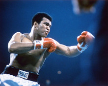 This is an image of 232280 Muhammad Ali Photograph & Poster