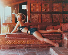 This is an image of 232756 Tuesday Weld Photograph & Poster