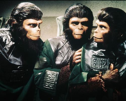 This is an image of 235634 Planet of the Apes Photograph & Poster