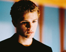 This is an image of 236426 Ryan Phillippe Photograph & Poster