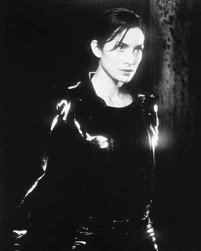 This is an image of 168985 Carrie-Anne Moss Photograph & Poster