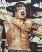 This is an image of 238979 Sylvester Stallone Photograph & Poster
