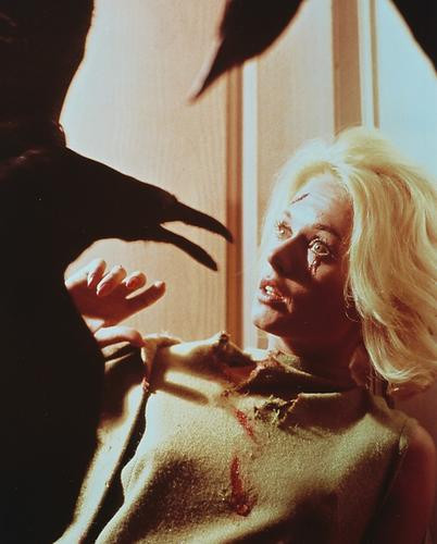 This is an image of 239660 Tippi Hedren Photograph & Poster